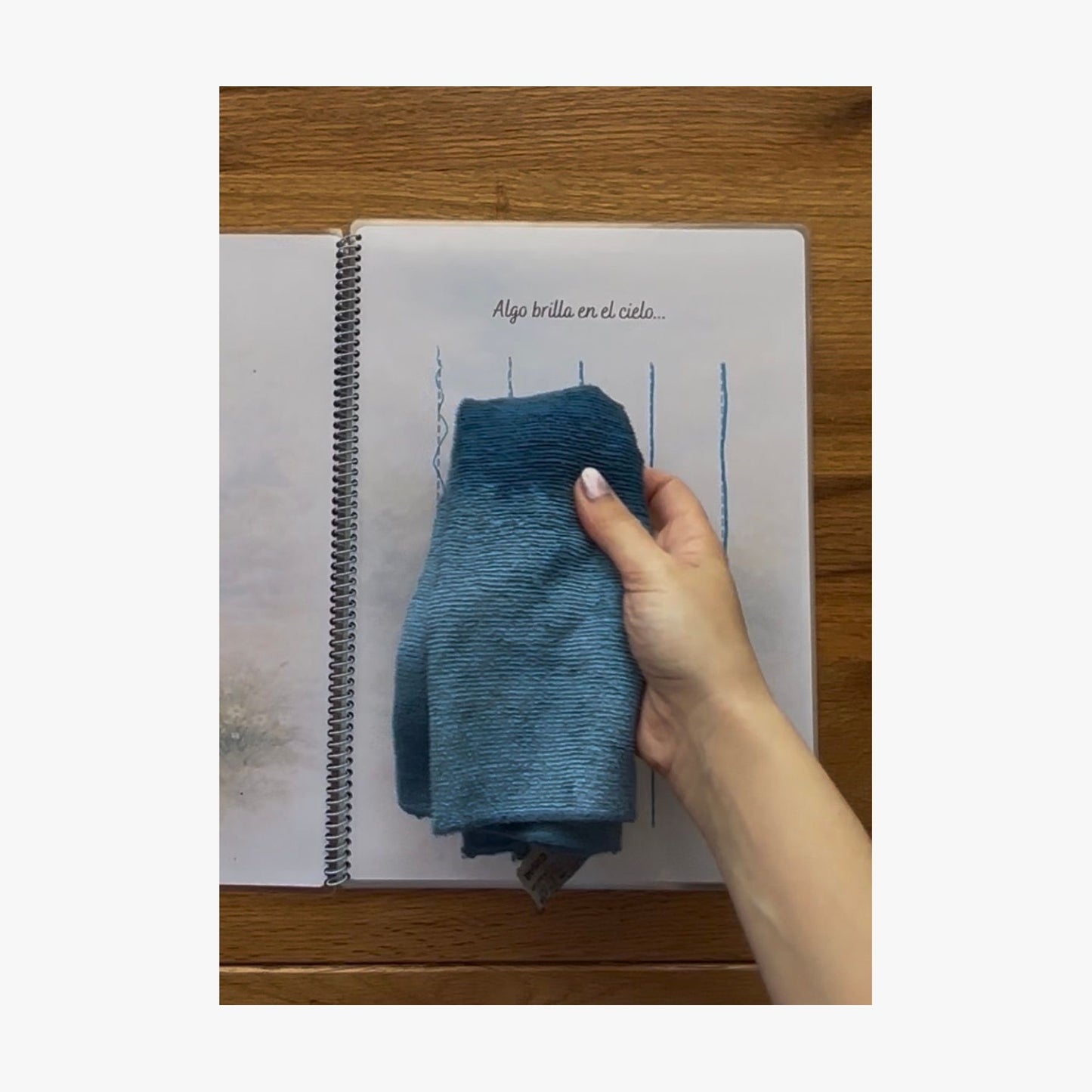 Colección de cuadernos reutilizables de trazos | Gatito Rasdelma